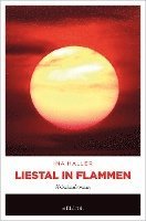 bokomslag Liestal in Flammen