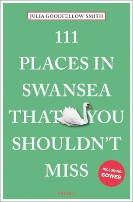 bokomslag 111 Places in Swansea That You Shouldn't Miss