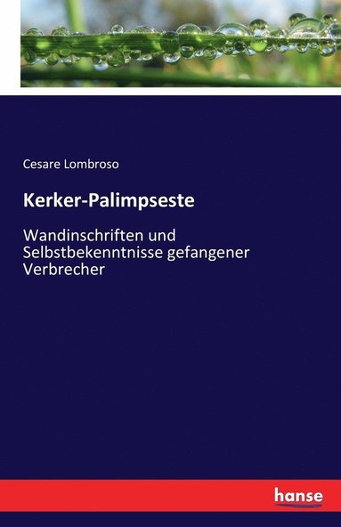 bokomslag Kerker-Palimpseste