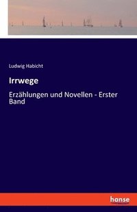bokomslag Irrwege: Erzählungen und Novellen - Erster Band