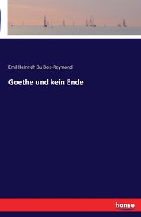 bokomslag Goethe und kein Ende