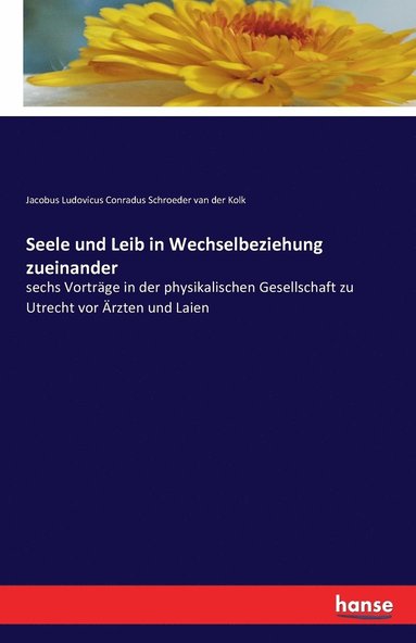 bokomslag Seele und Leib in Wechselbeziehung zueinander