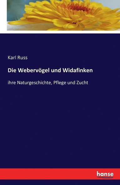 bokomslag Webervögel und Widafinken