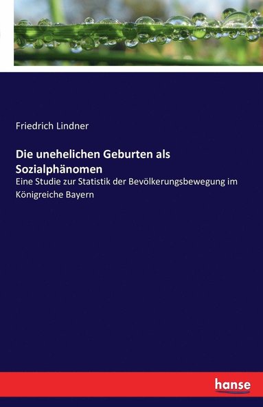 bokomslag Die unehelichen Geburten als Sozialphnomen