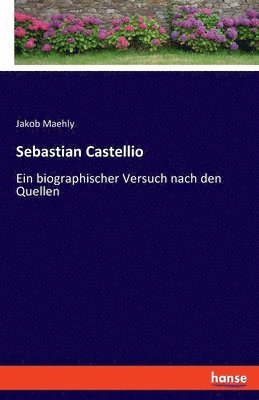 bokomslag Sebastian Castellio