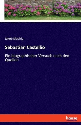 Sebastian Castellio 1