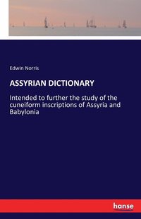 bokomslag Assyrian Dictionary