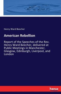 bokomslag American Rebellion