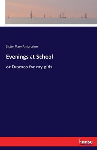 bokomslag Evenings at School