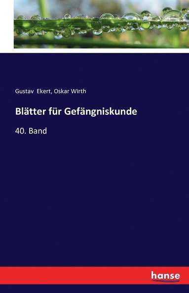 bokomslag Blätter für Gefängniskunde