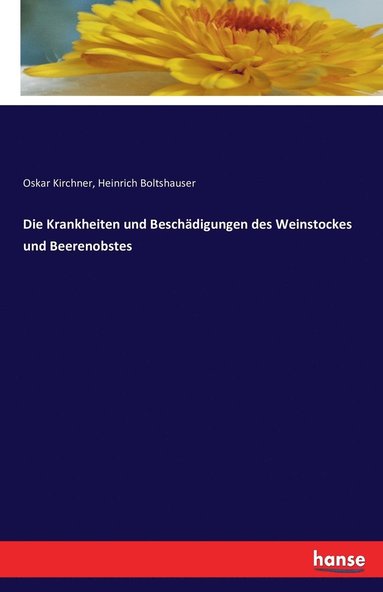 bokomslag Die Krankheiten und Beschadigungen des Weinstockes und Beerenobstes