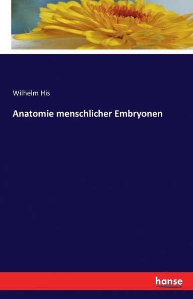 bokomslag Anatomie menschlicher Embryonen