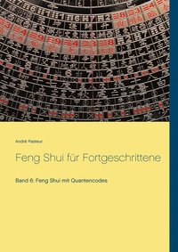 bokomslag Feng Shui fr Fortgeschrittene