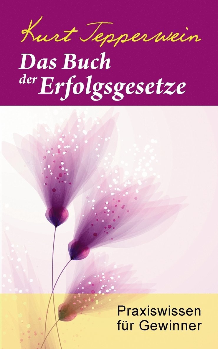 Kurt Tepperwein - Buch der Erfolgsgesetze, Häftad