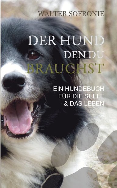 bokomslag Der Hund den du brauchst