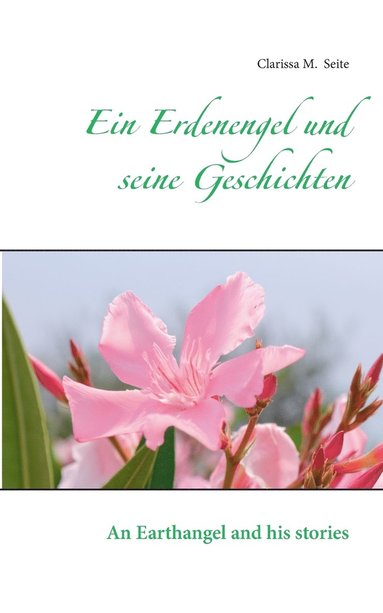 bokomslag Erdenengel und seine Geschichten