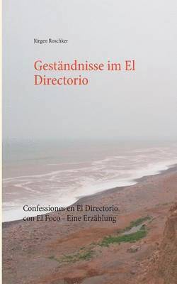 bokomslag Geständnisse im El Directorio