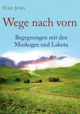 bokomslag Wege nach vorn