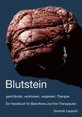 Dominik Leupold - Blutstein - geschändet, verstossen, vergessen, Therapie, Häftad