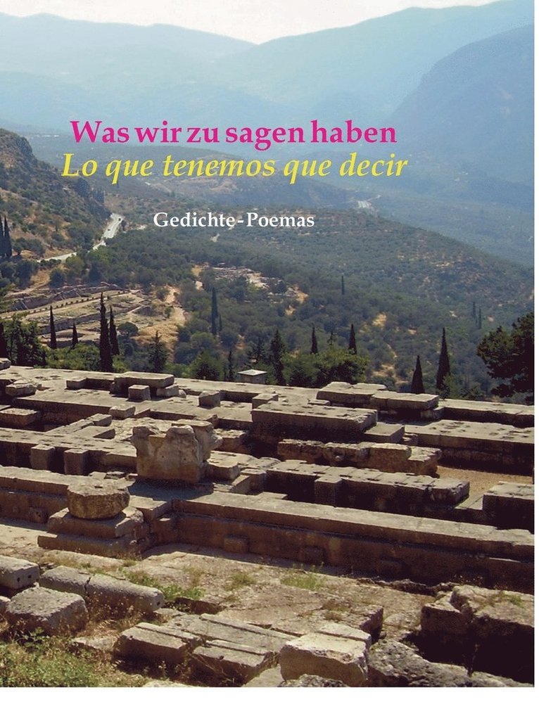 Jürgen Polinske - Was wir zu sagen haben, Häftad