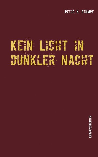 bokomslag Kein Licht in dunkler Nacht