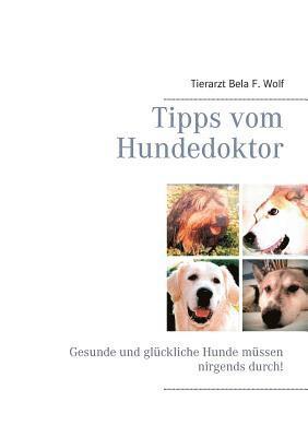 bokomslag Tipps vom Hundedoktor