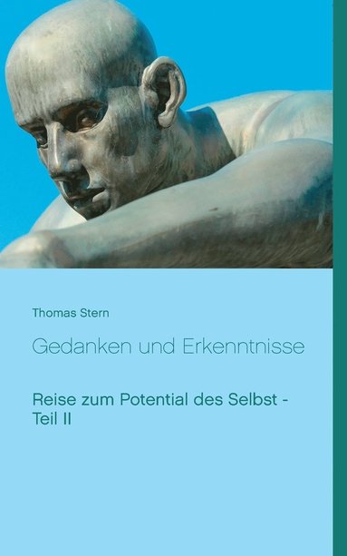 Thomas Stern - Gedanken und Erkenntnisse, Häftad