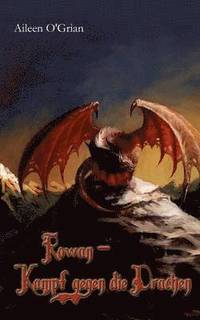 bokomslag Rowan - Kampf gegen die Drachen