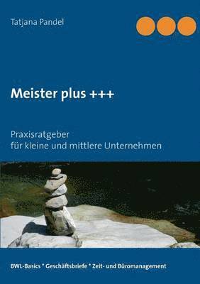 bokomslag Meister plus +++