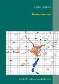 bokomslag Geoinformatik