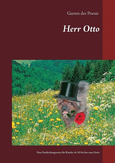 bokomslag Herr Otto