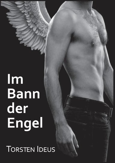 bokomslag Im Bann der Engel