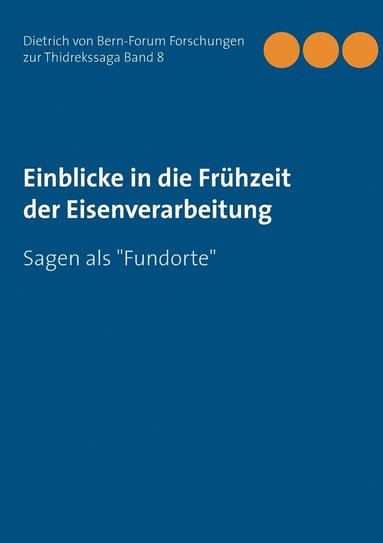 Dietrich Von Bern-Forum E V - Einblicke in die Frühzeit der Eisenverarbeitung, Häftad