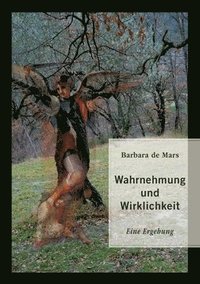 bokomslag Wahrnehmung und Wirklichkeit: Eine Ergehung