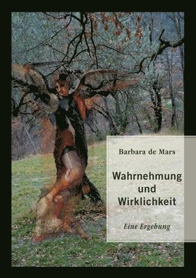bokomslag Wahrnehmung und Wirklichkeit: Eine Ergehung