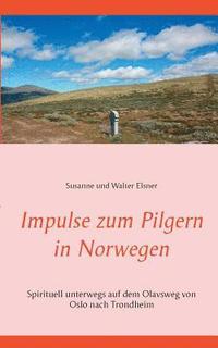 bokomslag Impulse zum Pilgern in Norwegen