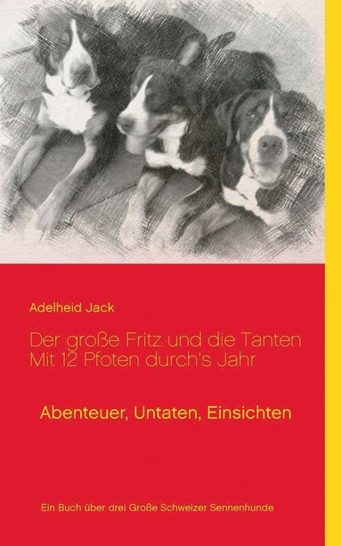 bokomslag große Fritz und die Tanten - Mit 12 Pfoten durch's Jahr