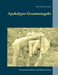 bokomslag Apokalypse-Gesamtausgabe