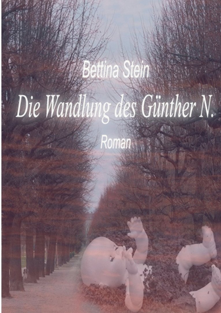Bettina Stein - Wandlung des Günther N., Häftad