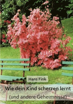Hans Fink - Wie dein Kind scherzen lernt, Häftad