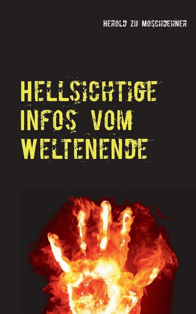 bokomslag Hellsichtige Infos vom Weltenende