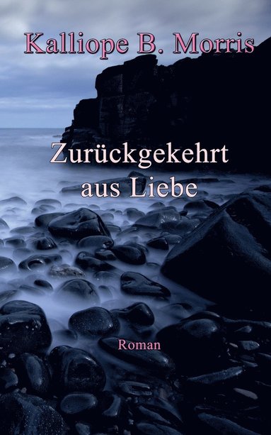 bokomslag Zurckgekehrt aus Liebe