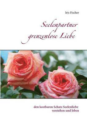 Seelenpartner grenzenlose Liebe 1