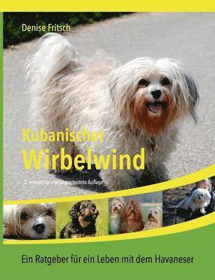 Kubanischer Wirbelwind