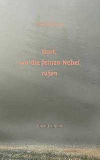 bokomslag Dort, wo die feinen Nebel rufen