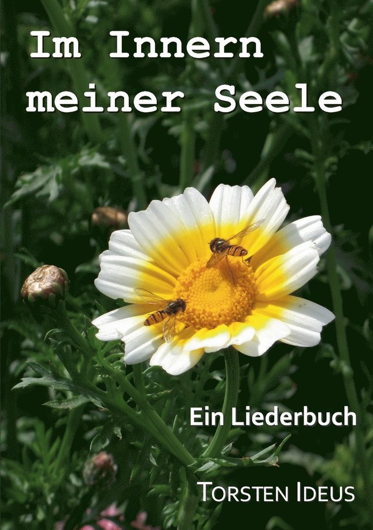 Im Innern meiner Seele