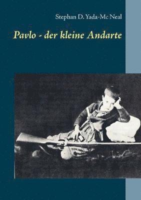 bokomslag Pavlo - der kleine Andarte: Kindheit im Besetzten Kreta 1941 - 1945