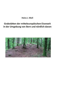 bokomslag Grabstatten der mitteleuropaischen Eisenzeit in der Umgebung von Bern und noerdlich davon