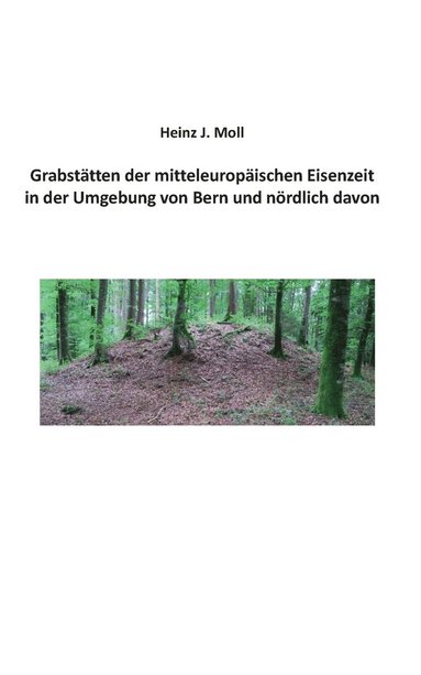 bokomslag Grabstatten der mitteleuropaischen Eisenzeit in der Umgebung von Bern und noerdlich davon