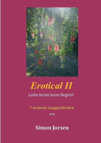 bokomslag Erotical II - 7 erotische Langgeschichten
